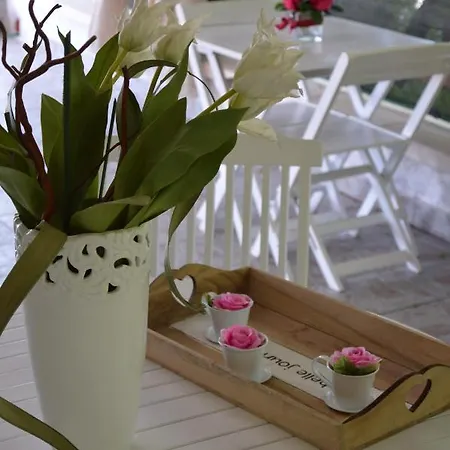 לינה וארוחת בוקר Cinque Stelle Salento מרינה די מנקוורסה