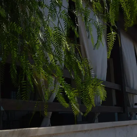 Cinque Stelle Salento B&B 마리나디만카베르사